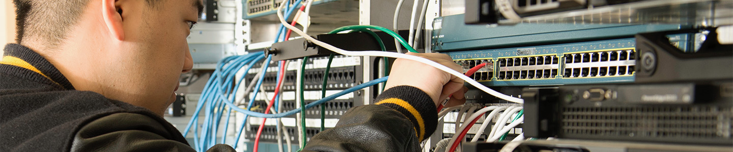 Cybersecurity graduate student studies network cables and servers