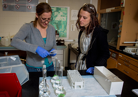 Environmental Engineering professor and student test water samples in the lab
