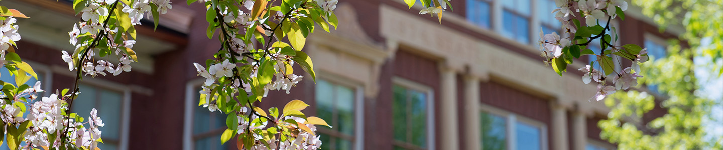 A spring day on campus in front of South Hall