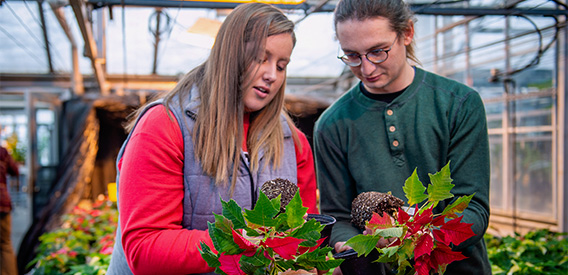 Two students compare soil and plant roots in the campus greenhouse